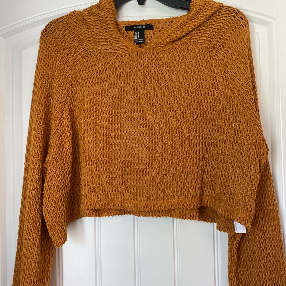Burnt orange cropped hoodie